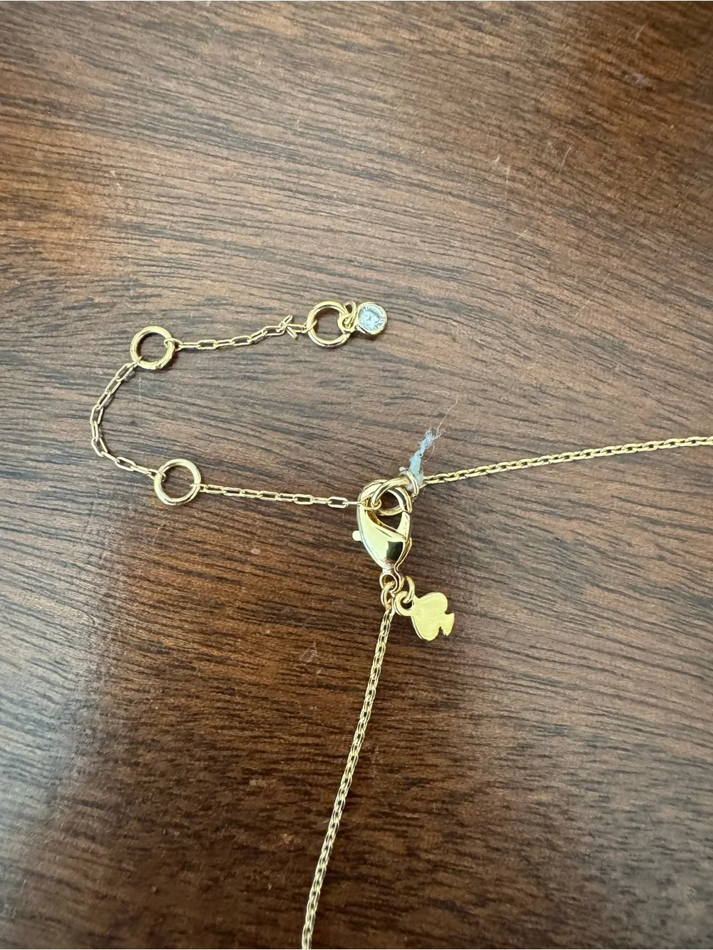 kate spade delicate kate
